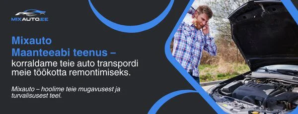 Auto maanteeabi